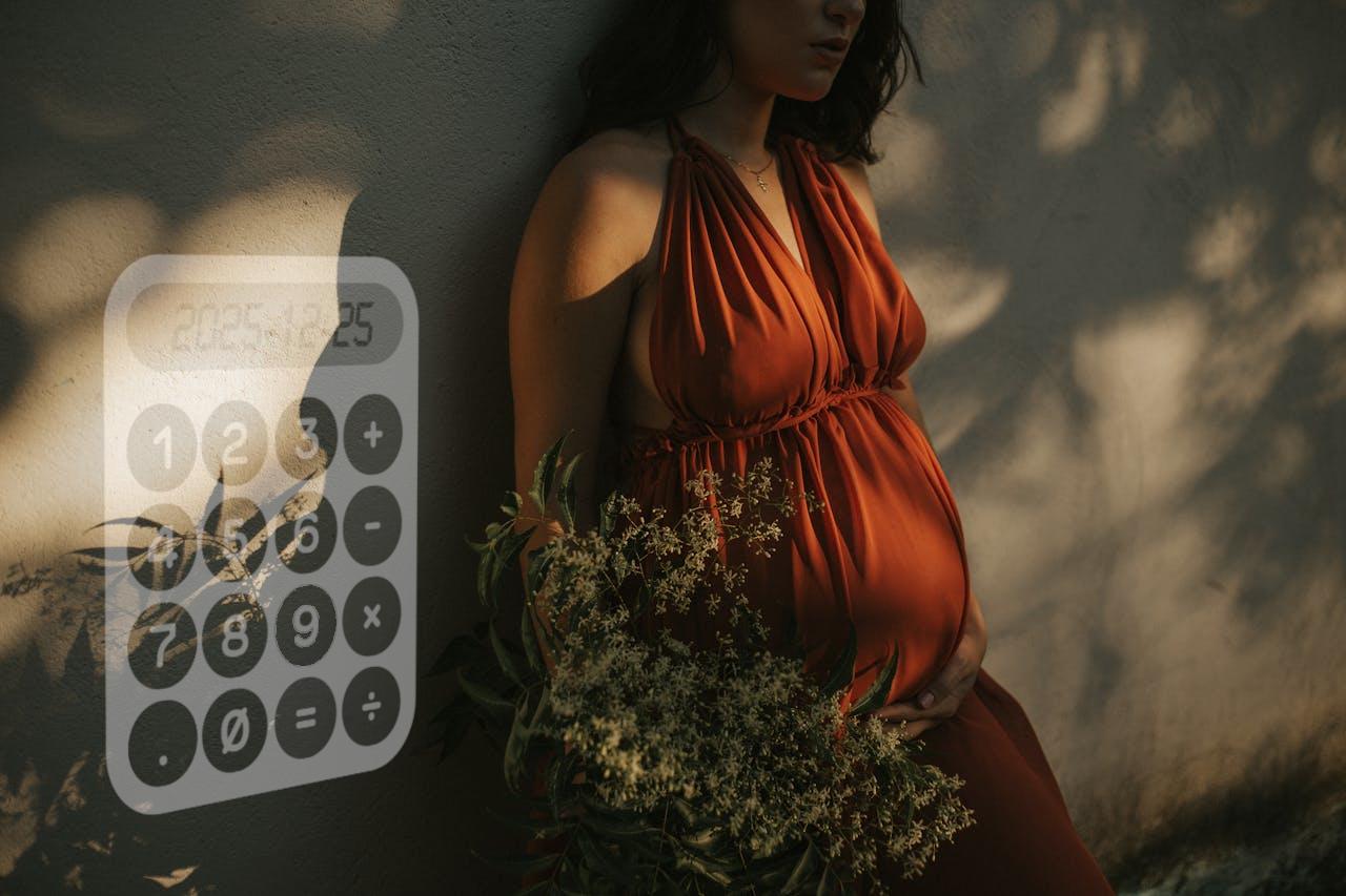 Schwangerschaftsrechner leicht gemacht